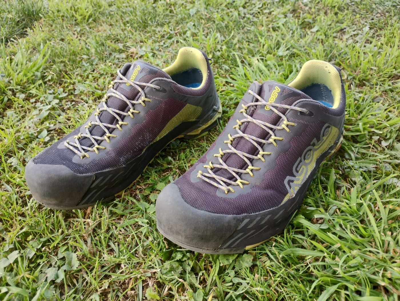 Asolo Eldo Gv Mm Green Oasis/Smoky Grey