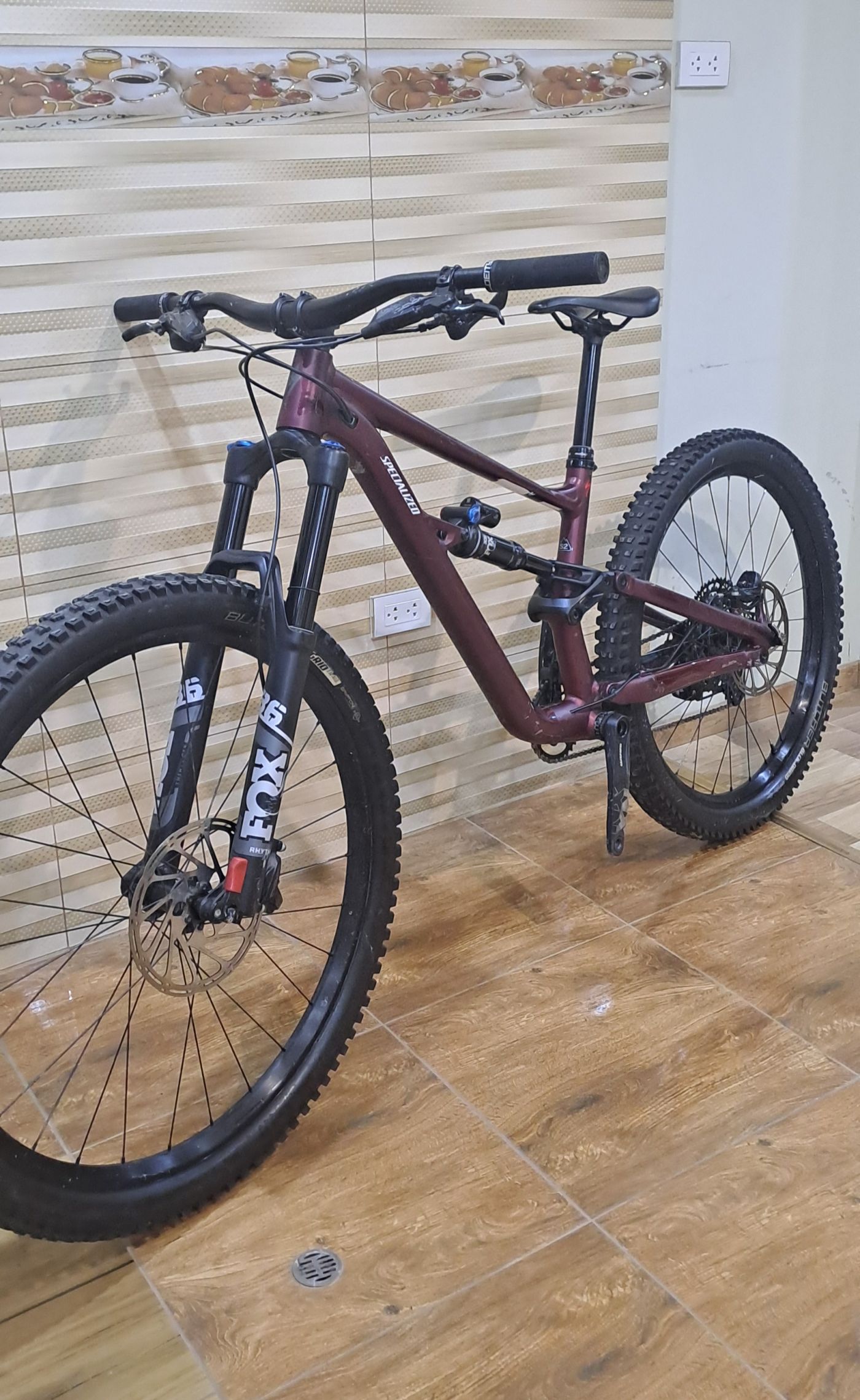 Specialized Status 160 S2