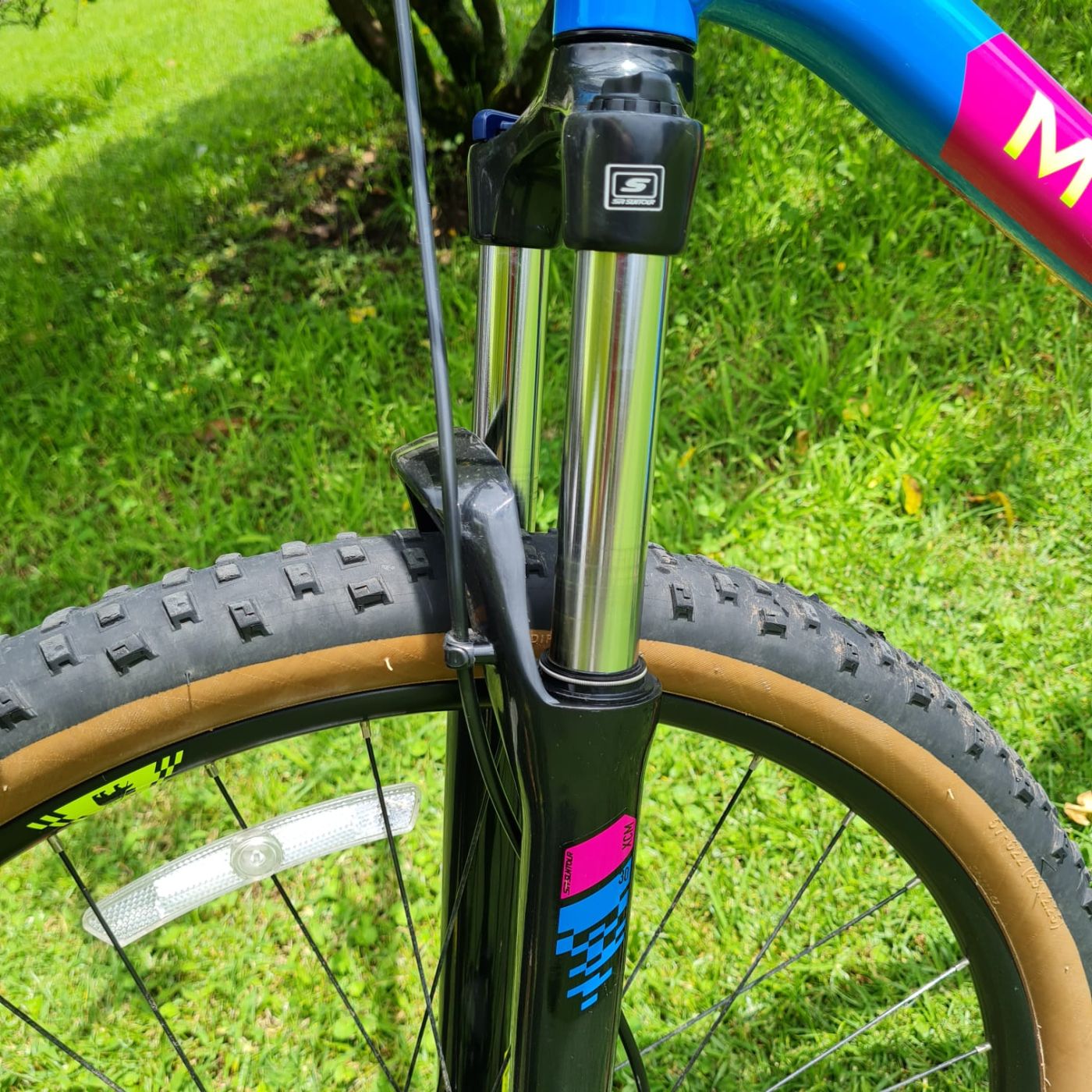 Marin Bobcat Trail 3