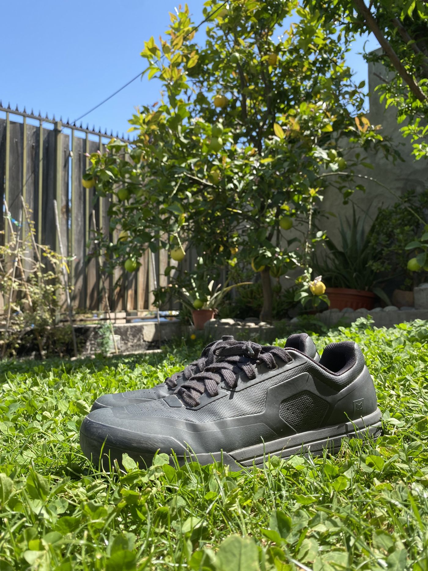 Fox Racing Zapatillas Fox Unión Flat