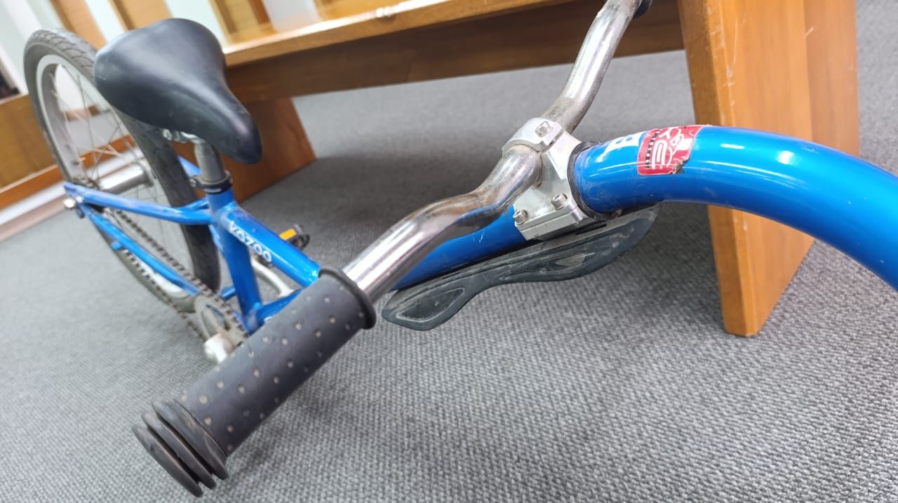 100% Trailercycle Bicicleta Remolque
