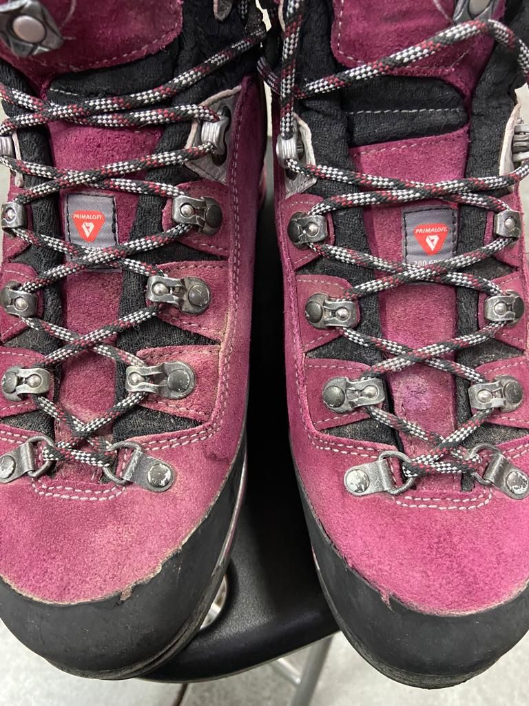 Lowa mountain 2025 expert gtx womens