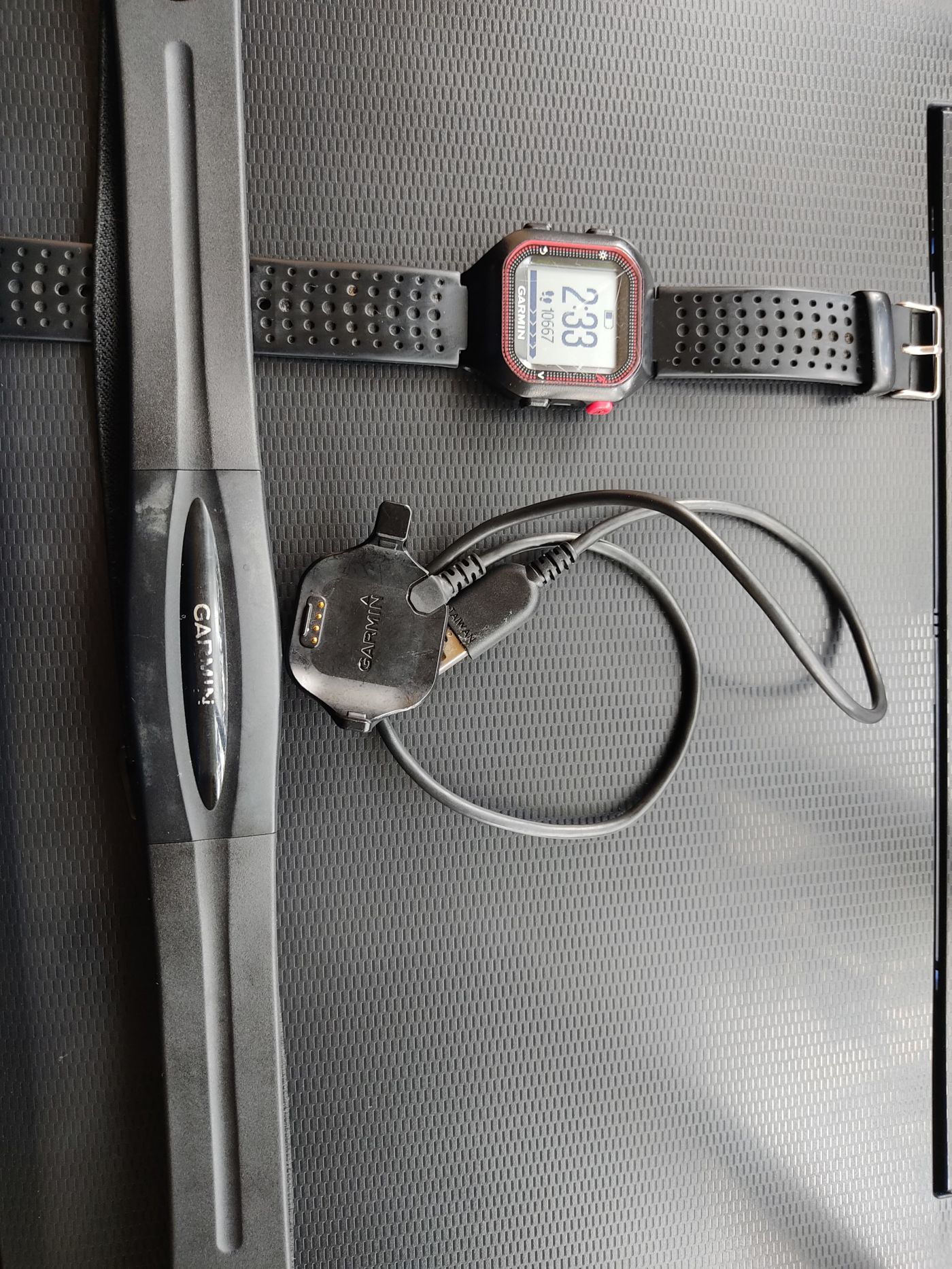 Garmin Forerunner 25