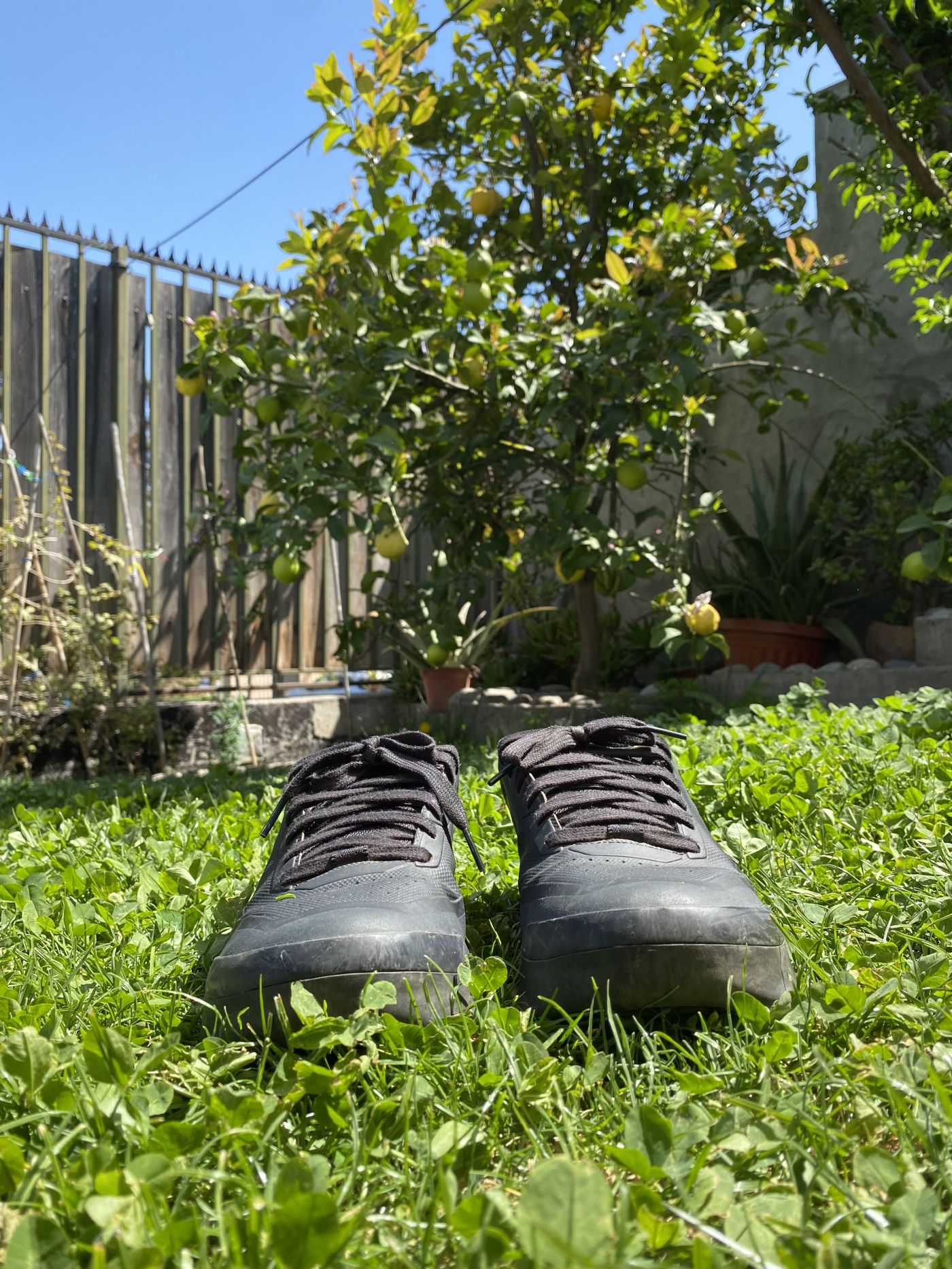 Fox Racing Zapatillas Fox Unión Flat