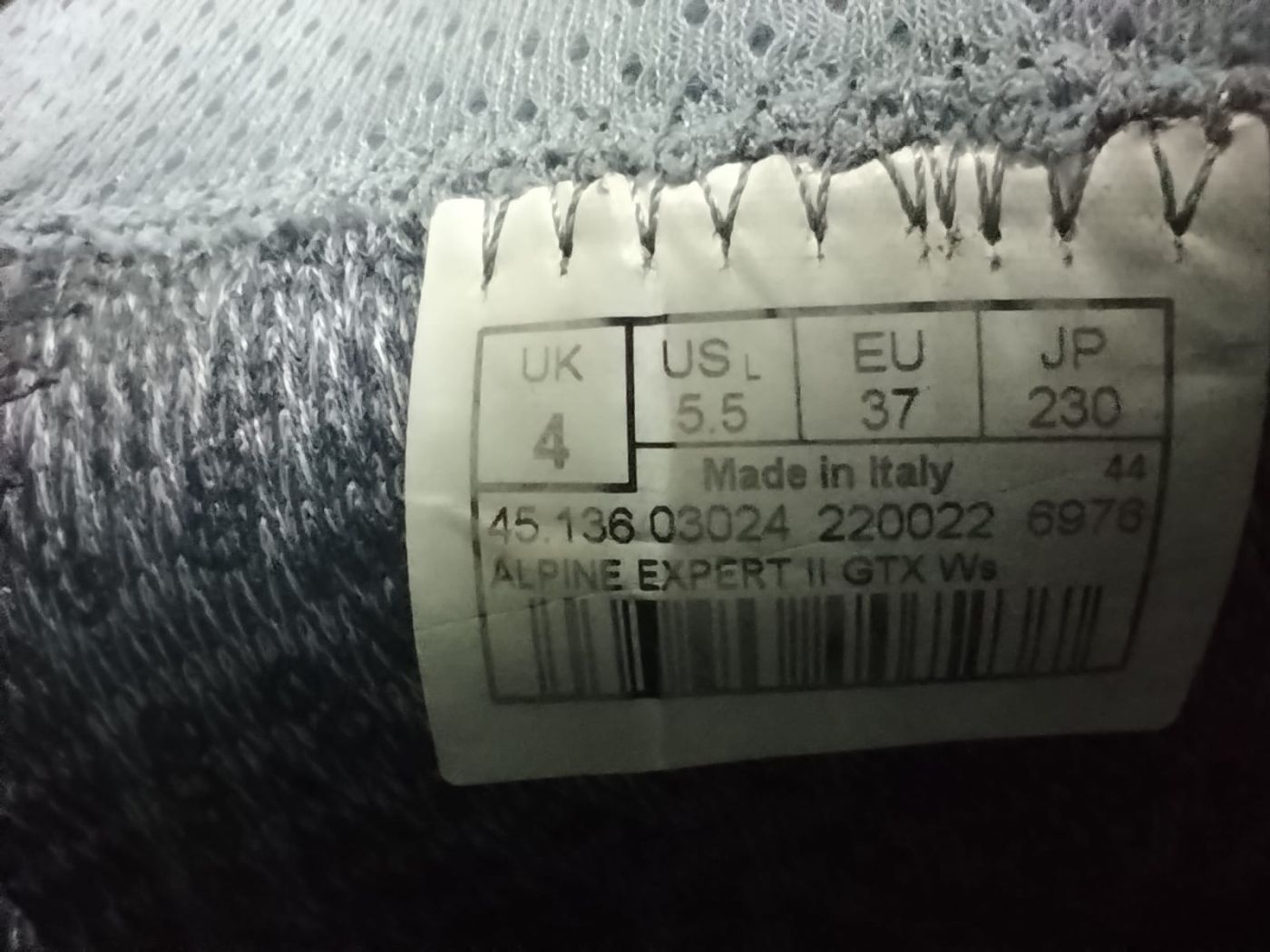 Lowa Alpine Expert Ii Gtx Ws Türkis/Eisblau