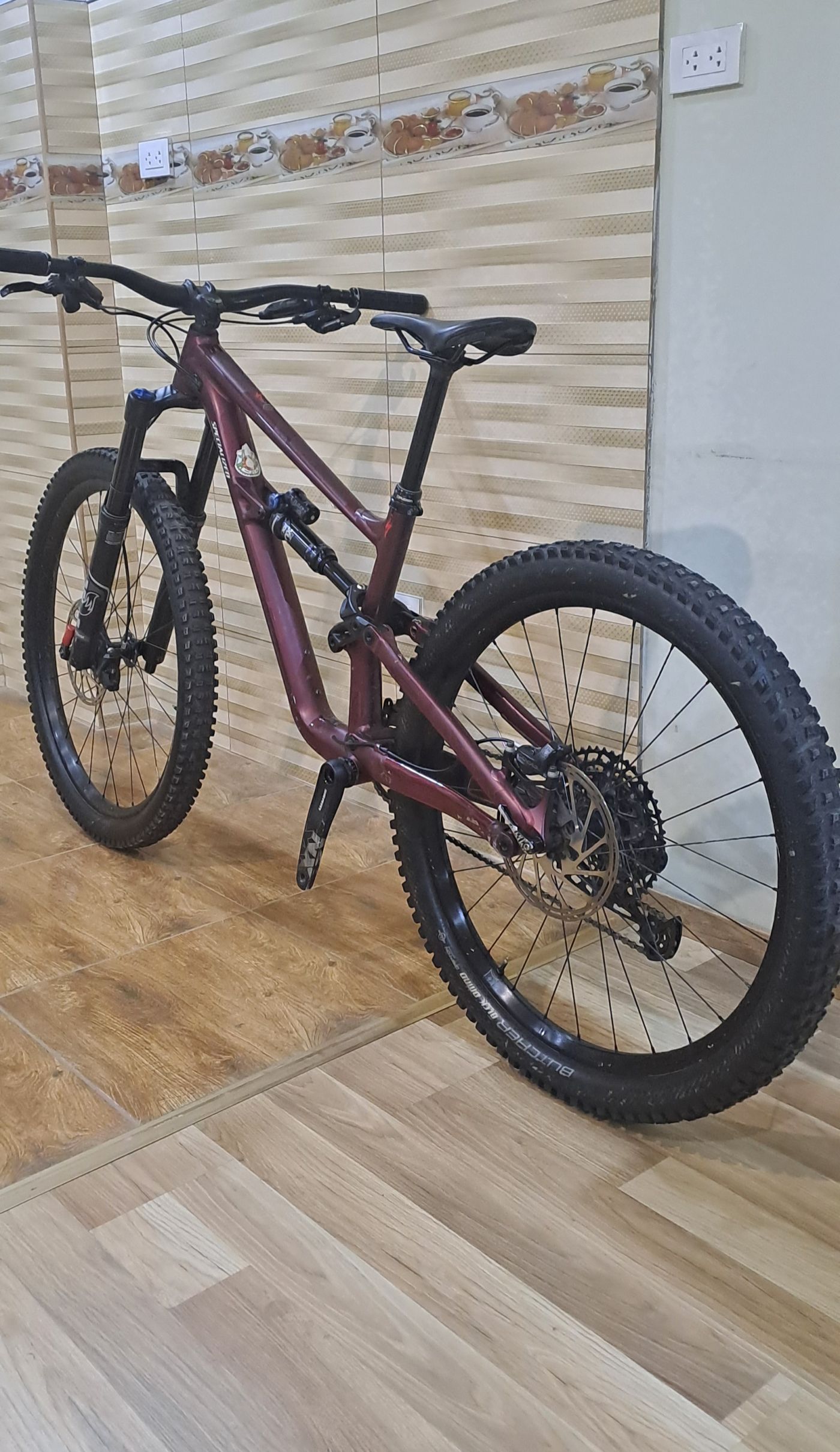 Specialized Status 160 S2
