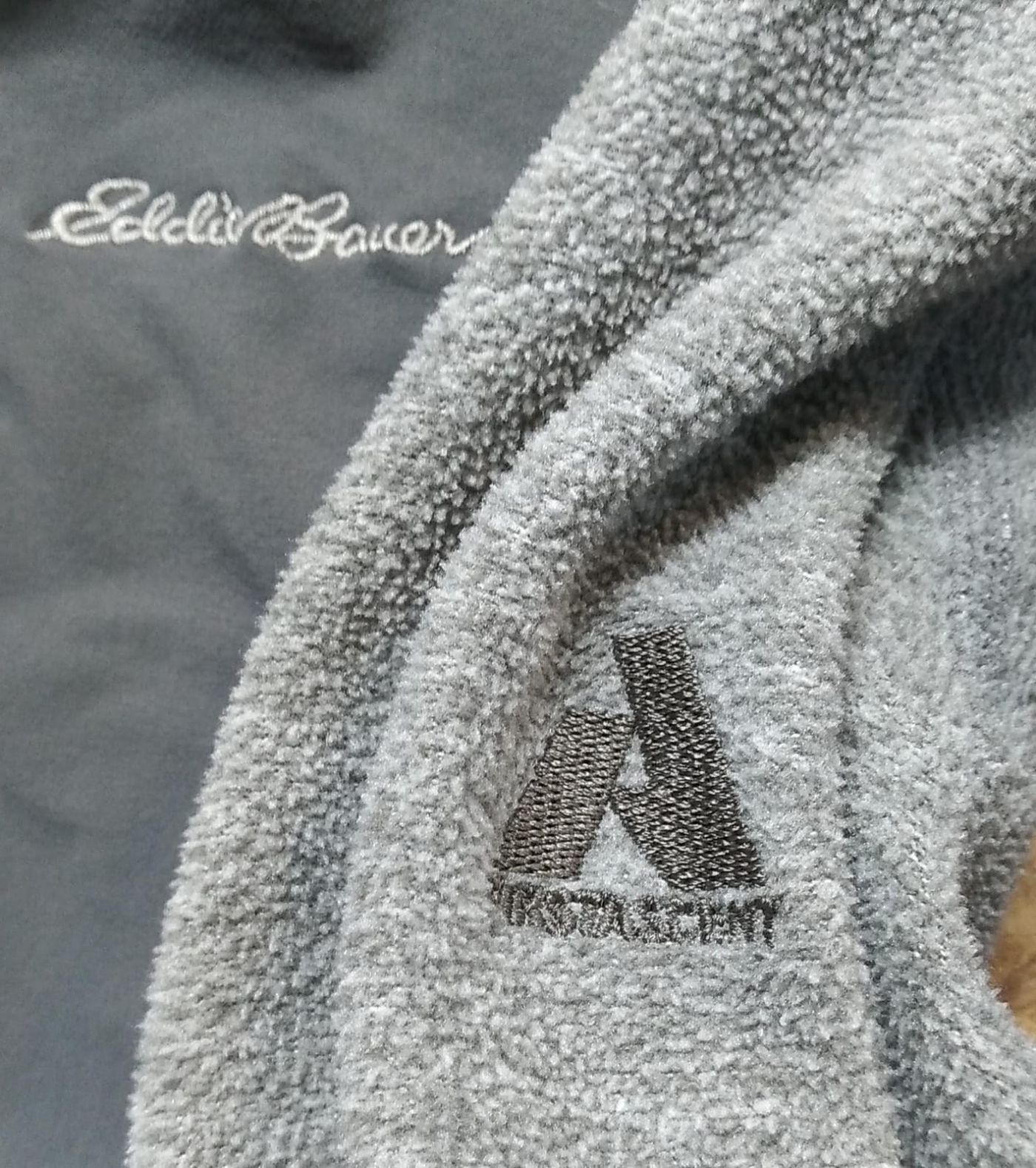 Eddie Bauer Saco Térmico Eddie Bauer First Ascent Gris