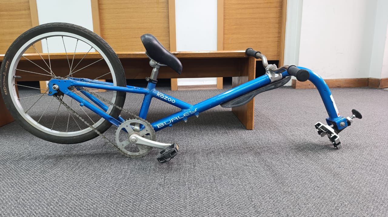 100% Trailercycle Bicicleta Remolque