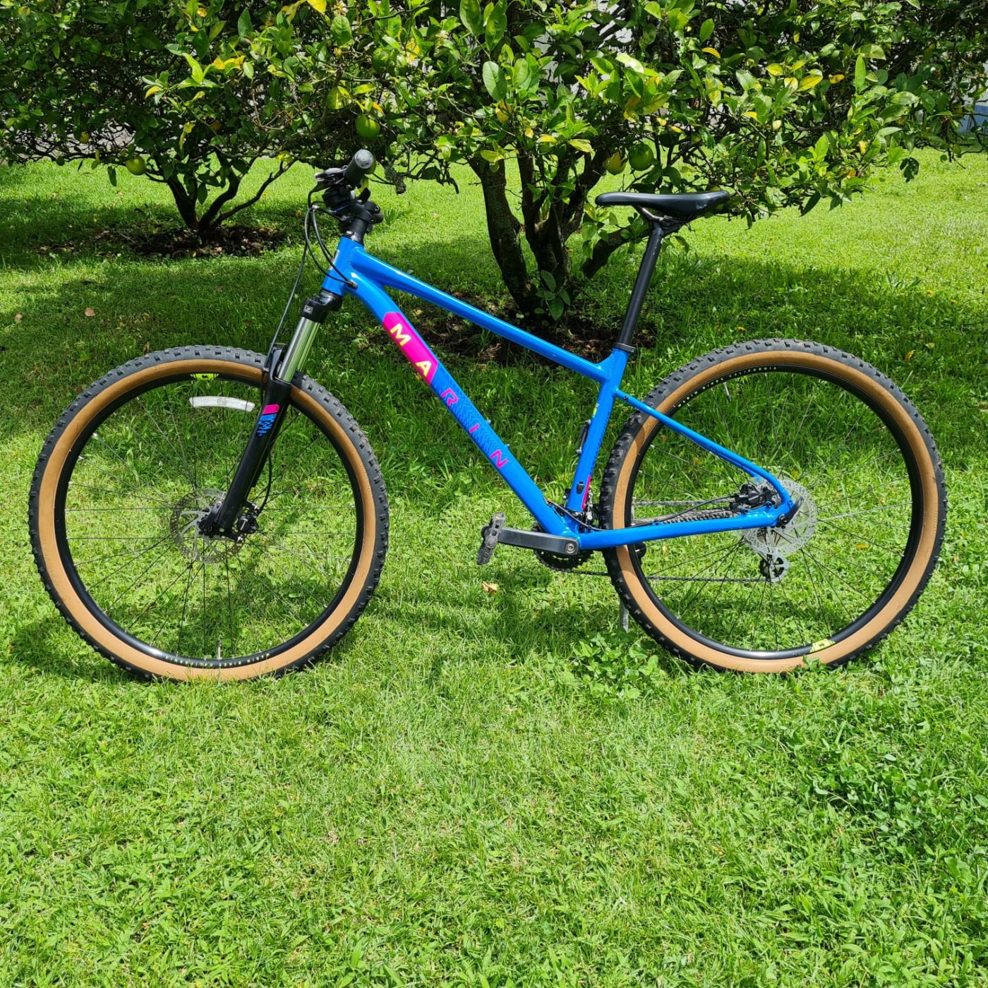 Marin Bobcat Trail 3