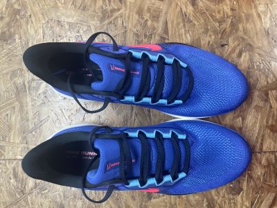 Nike Nike Air Zoom Pegasus 41
