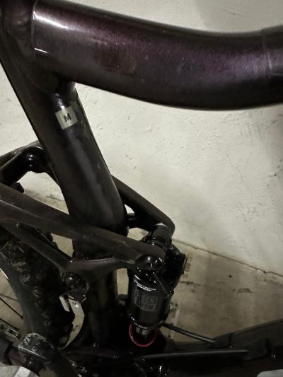 Giant Bicicleta Rin 29