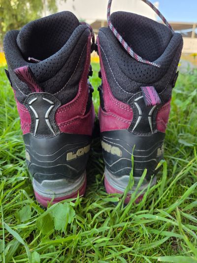 Lowa Lowa Mt. Expert Gtx® Evo Ws Berry/Black