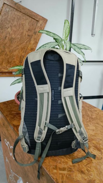 Osprey Osprey Daylite Plus 20