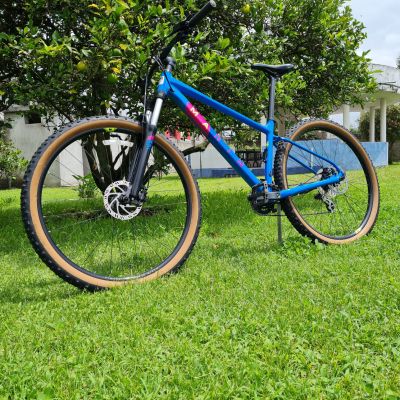 Marin Bobcat Trail 3