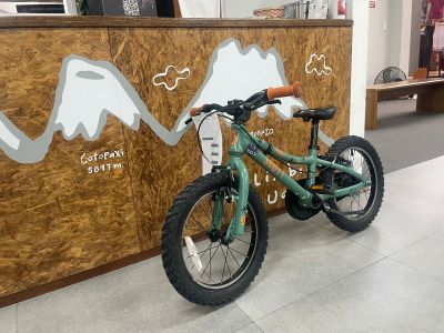 Scott Bicicleta Scott Roxter