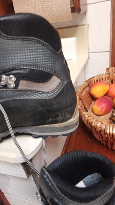 100% Bota De Alta Montaña Marca Altus