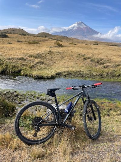 Scott Scale 970