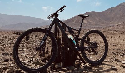 Specialized Stumpjumper Pro Comp Carbono (2019)