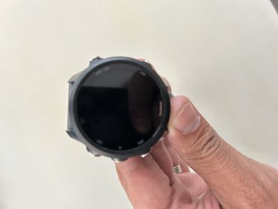 Garmin Garmin Forerunner 245