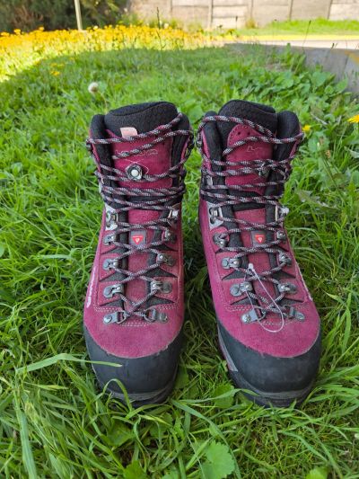 Lowa Lowa Mt. Expert Gtx® Evo Ws Berry/Black