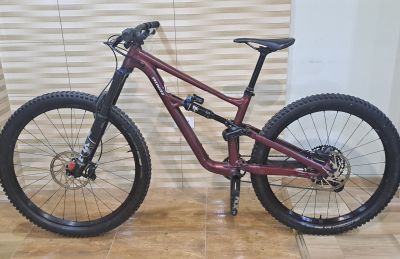 Specialized Status 160 S2
