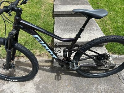 Giant Stance 29