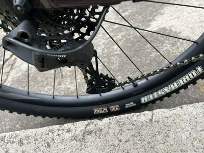 Giant Stance 29