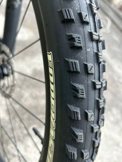 Giant Stance 29