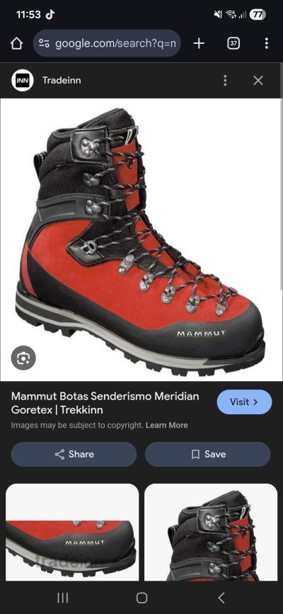 Mammut Meridian Gtx