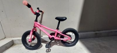Specialized Bicicleta