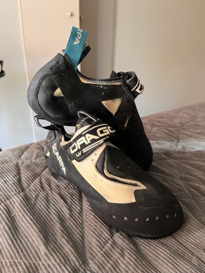 Scarpa Drago Lv