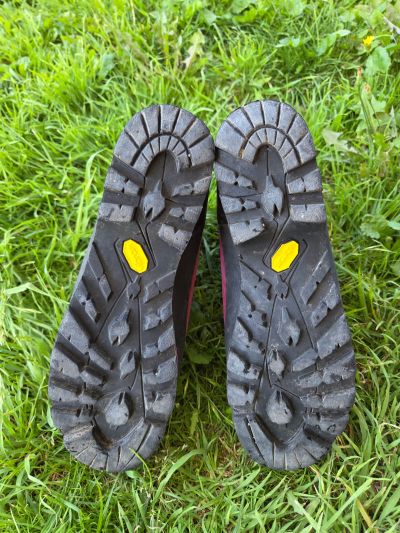 Lowa Lowa Mt. Expert Gtx® Evo Ws Berry/Black