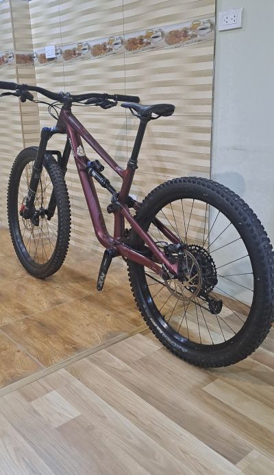 Specialized Status 160 S2