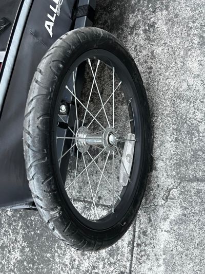 Allen Remolque De Bicicleta Para 2 Niños