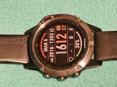 Garmin Fenix 5